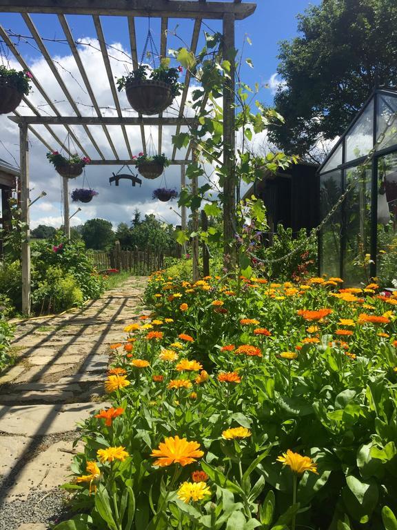 B&B Oase Braunlauf Dış mekan fotoğraf